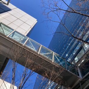 投稿についてもっと詳しく 大江戸骨董市ありがとうございました。