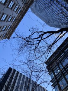 投稿についてもっと詳しく 天気予報に注意！2月2日の大江戸骨董市