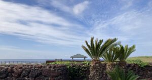 投稿についてもっと詳しく 大島日帰りの旅